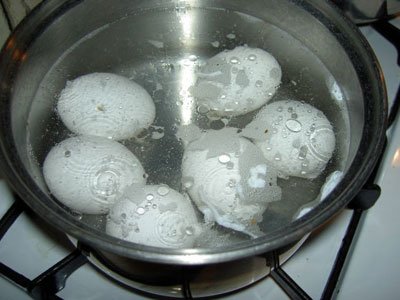 Hard Boiled Eggs on Hard Boiled Eggs Make For Another Convenient Source Of Protein