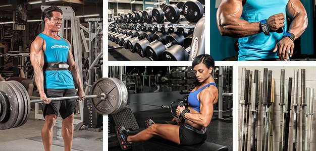 Workout Routines For Muscle Building & Fat Loss - Bodybuilding.com