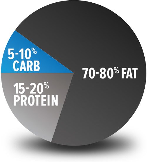 30 Grams Of Carbs A Day Diet