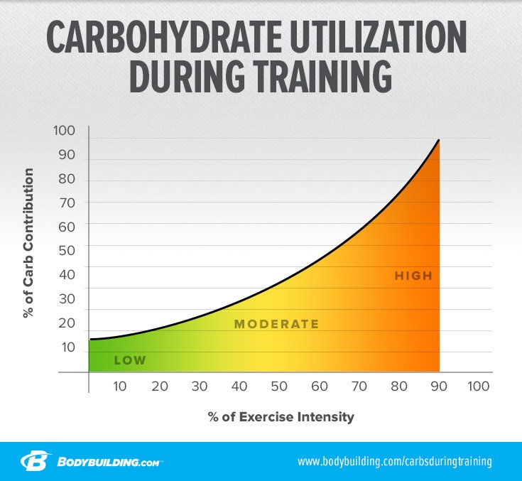 Your Guide to IntraWorkout Carbohydrates