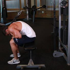 bodybuilding seated cable crunch