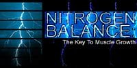 Nitrogen Balance: The Key To Muscle Growth