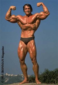 A Small Tight Waist Benefited Arnold Immensely On Stage.
