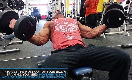 Bicep and Tricep Workout, Sleeve Busting Arms