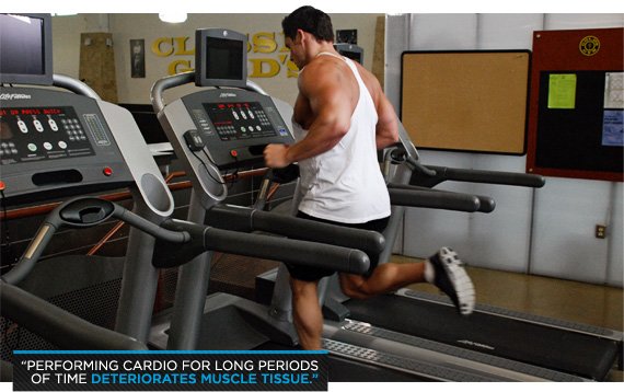 HIIT Can Get You Huge, Especially If You Are A Meathead In Need Of Cardio