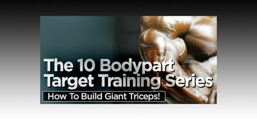 Giant triceps cheap