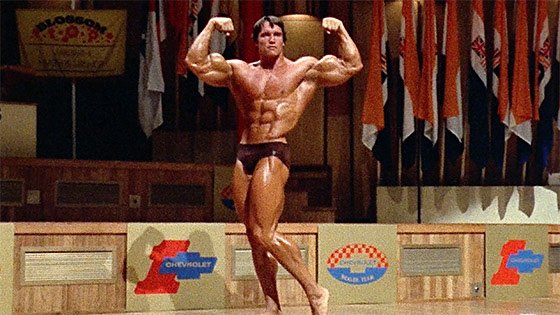 Success By Schwarzenegger 6 Secrets Of Arnolds Success