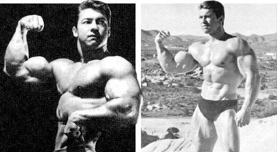 Are there any bodybuilders (past or present) that had a chest as