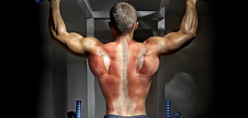 Back To Basics - Techniques to Build a Defined Back