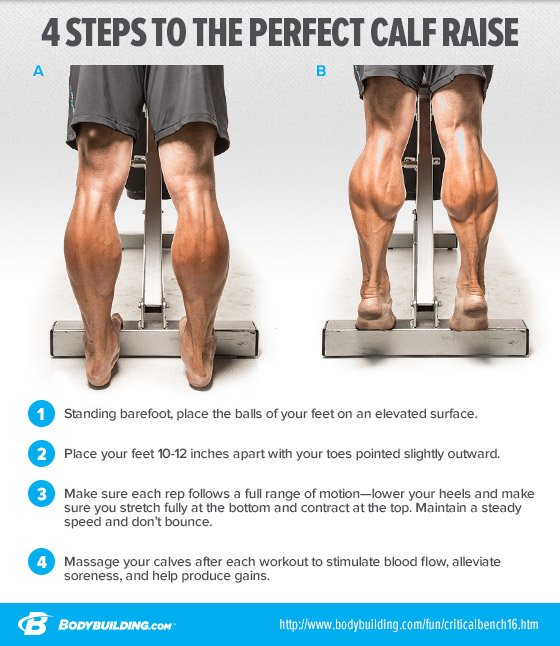 4 steps to the perfect calf raise