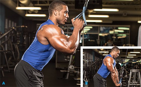 The Titan Triceps Set