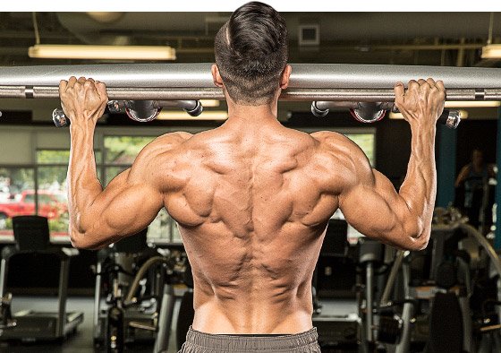 A Guide to Basic Bulking for Impressive Muscle Growth