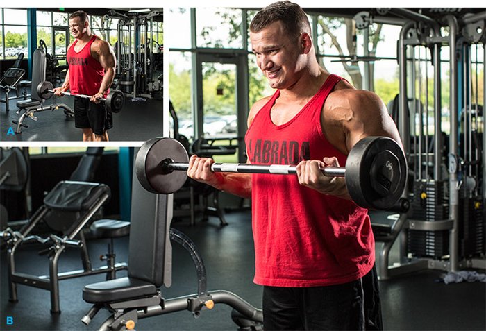 7 Must-Do Hacks for Huge Arms