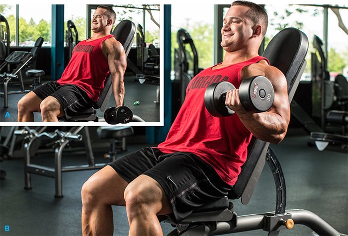 7 Must-Do Hacks For Huge Arms