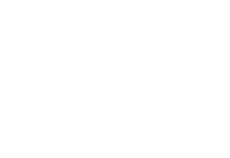 aen wide logo