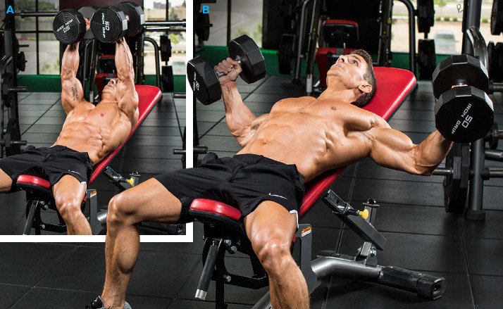 Fly Dumbbell Incline Bench