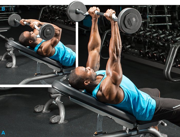 I've shared the various tricep lateral head dumbbell exercises in this  article that will help you improve the overall strength, definition, and  shape of your upper arms. These exercises are suitable for