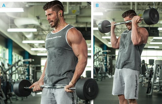 9 Things You Should Never Do On Biceps Day