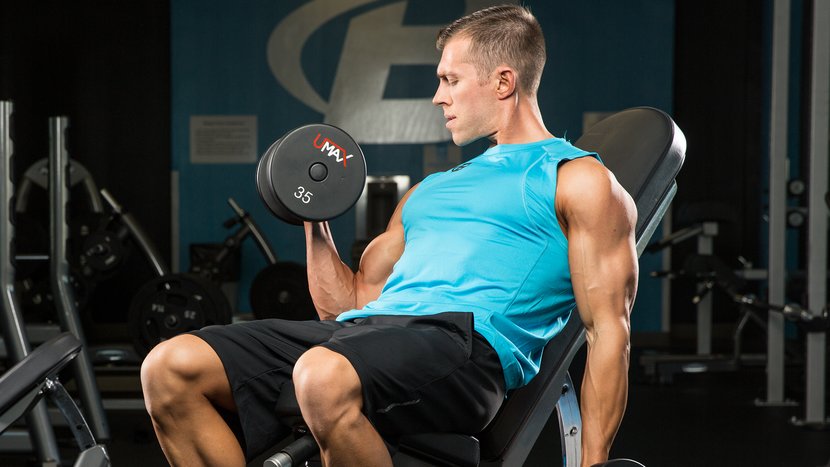 Your Best Guide to Building Biceps