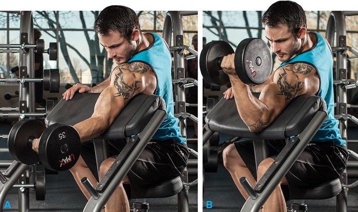 The Five Best Biceps Exercises for Ripped Arms - SportsRec