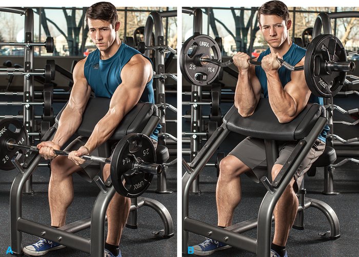 exercise for arms for men