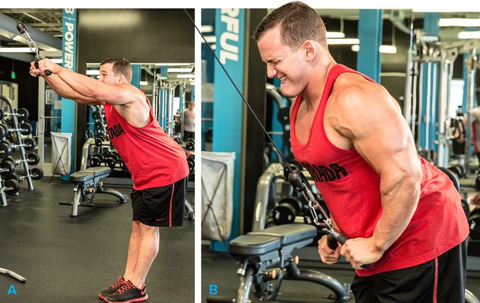 5 Best Lat Exercises to Do at Gym