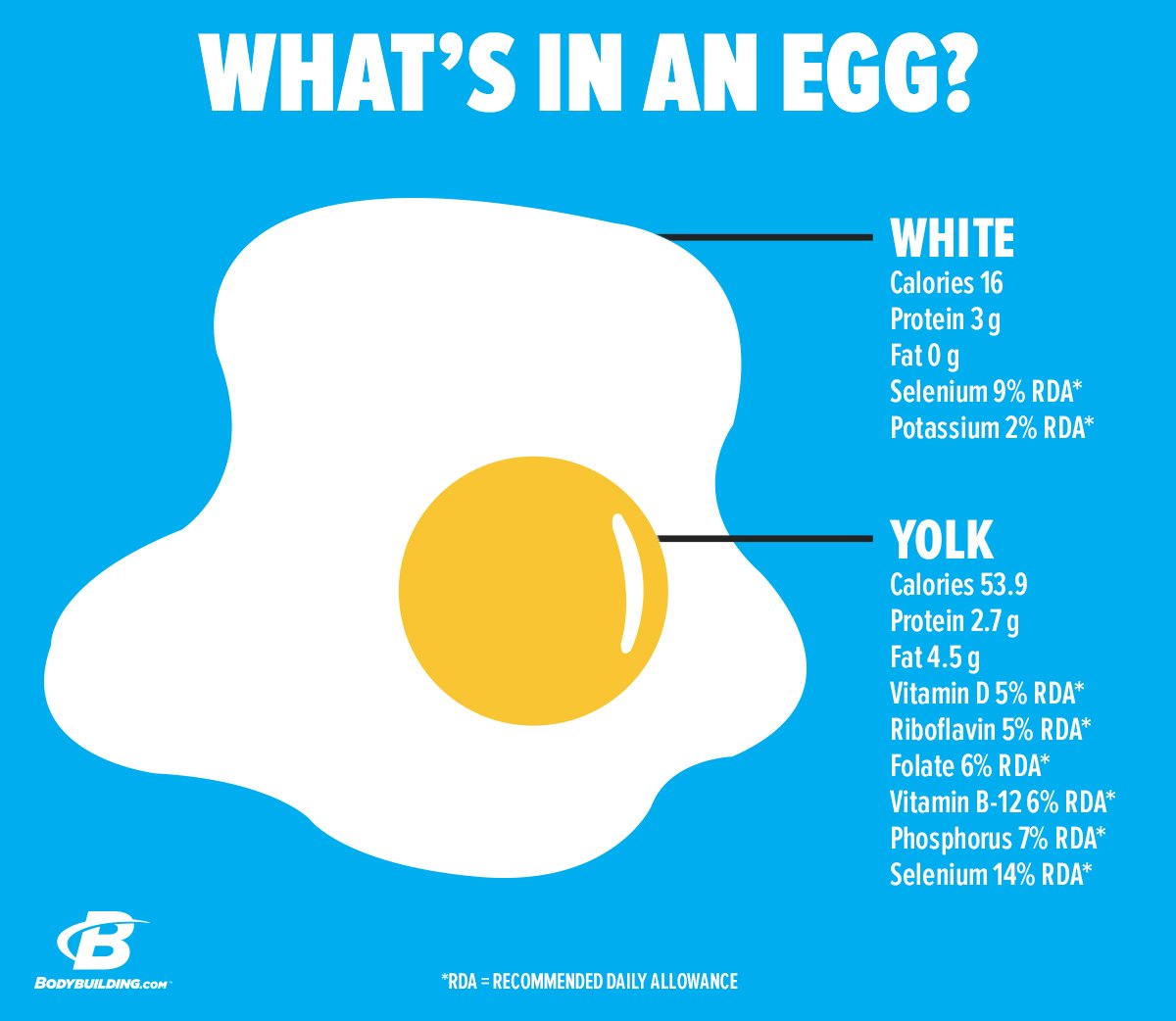 Does Egg Yolk Have Phosphorus