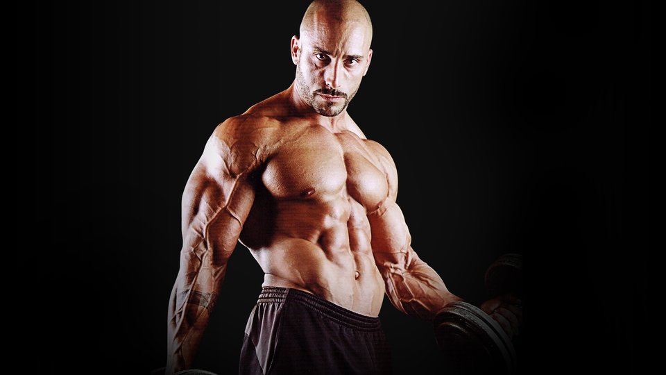 https://www.bodybuilding.com/images/2016/june/how-do-i-build-bigger-rounder-stronger-shoulders-header-v2-960x540.jpg
