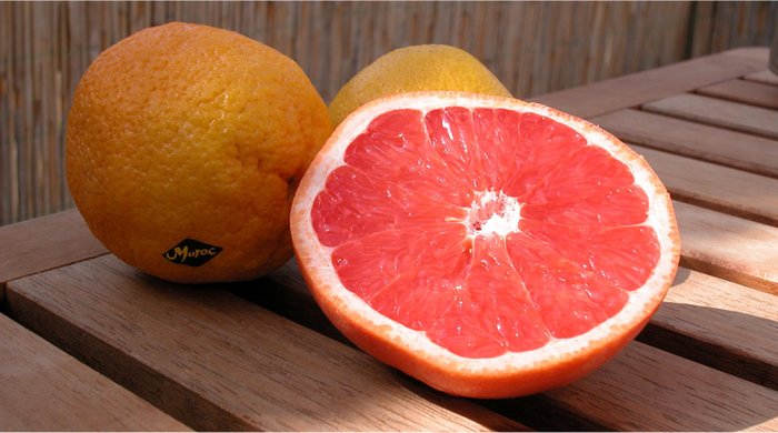 Grapefruit