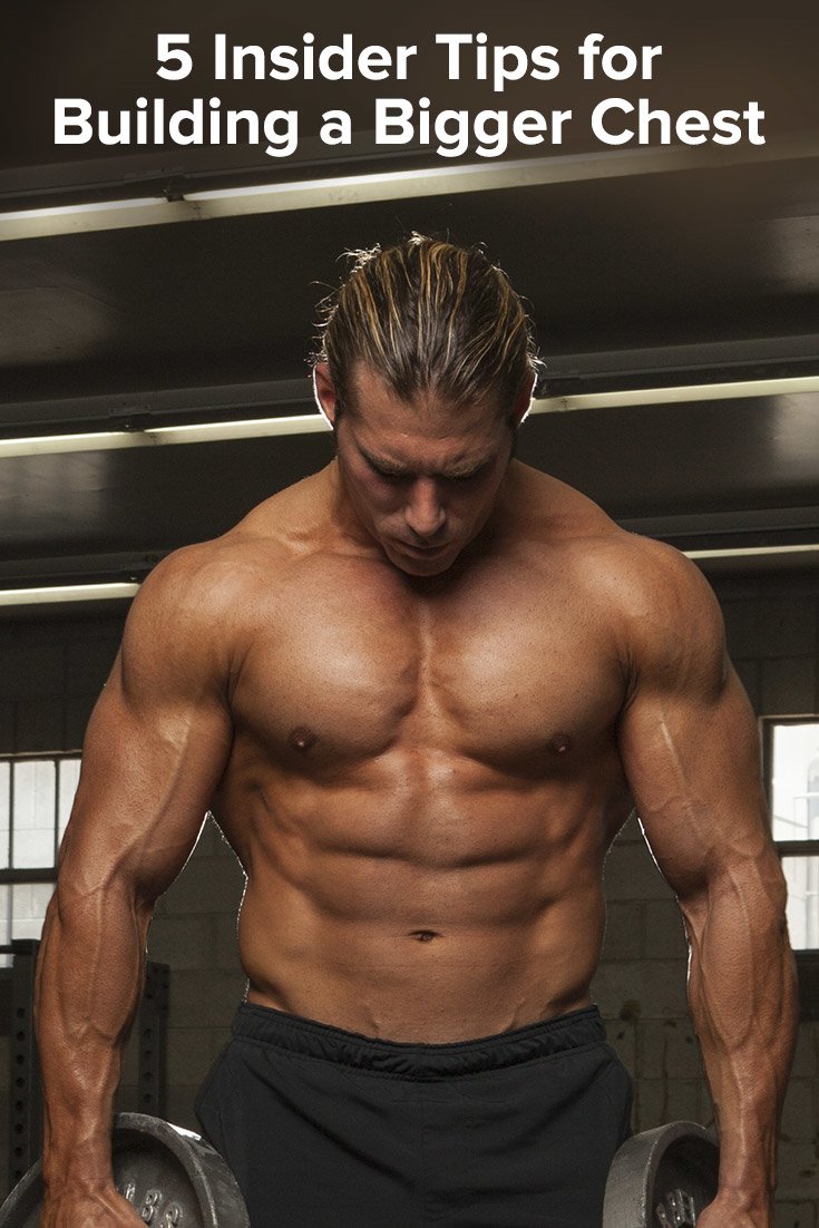 5 Insider Techniques For Building The Ultimate Chest ...