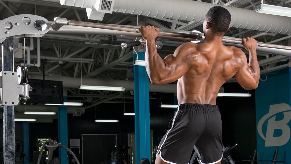 The Best Bodybuilding Back Workout, Customized to Your Experience Level
