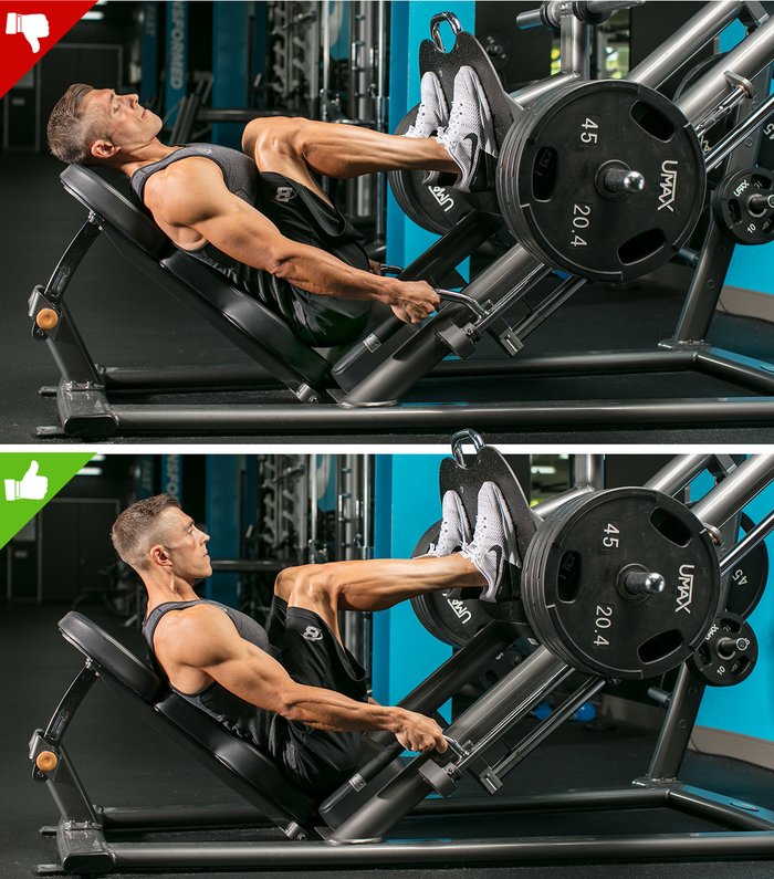 43 Comfortable How to adjust leg press seat for Workout Today