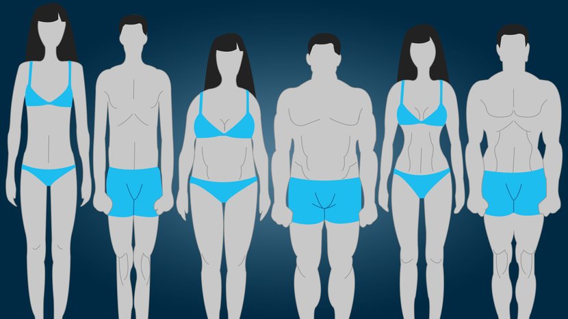 Which things are important to Building Ideal Body Shape by