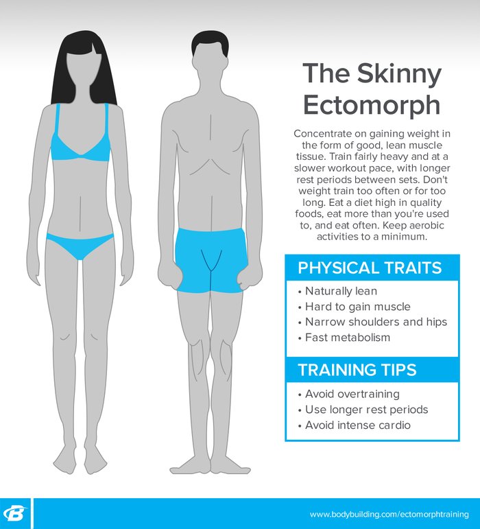 Skyline Gym - Body Types - Which One are You? The Ectomorph, the Mesomorph,  the Endomorph, or a Combination? Like everything in life the best way to  achieve your goals can only