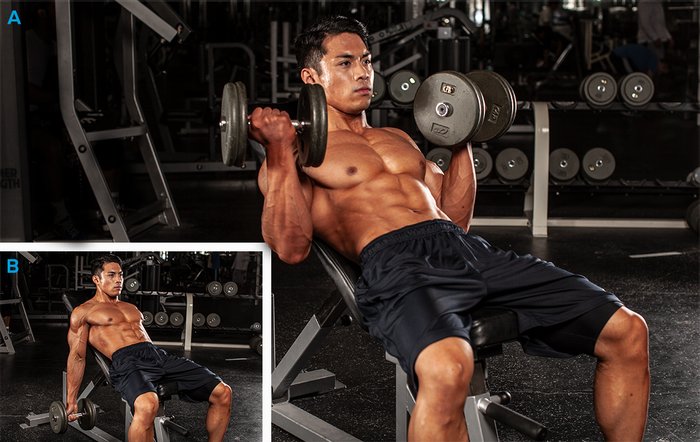 The 10 Highest Rated Biceps Exercises For Arms Workouts