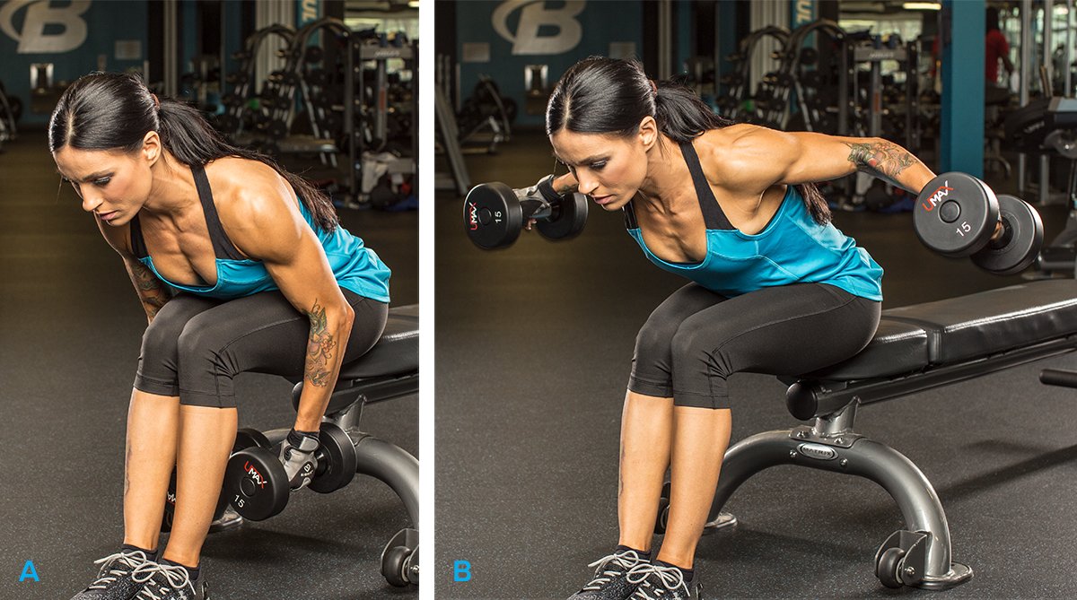 Seated Bent-Over With Dumbbells