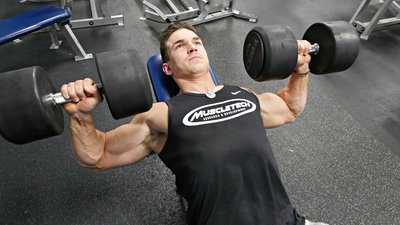 4 Rules Of Chest Specialization