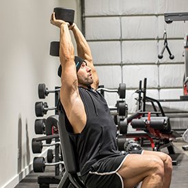 Exercise Finder | Bodybuilding.com