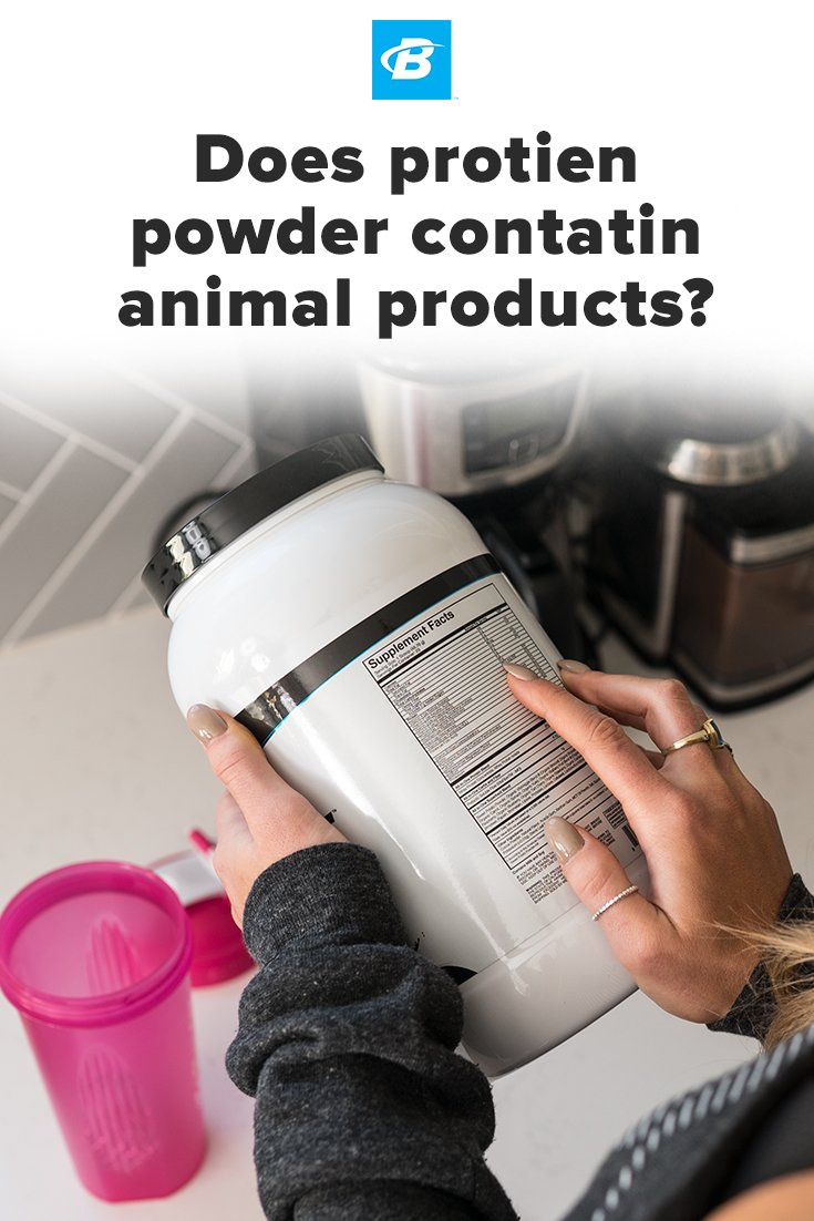 Does Protein Powder Contain Animal Products?