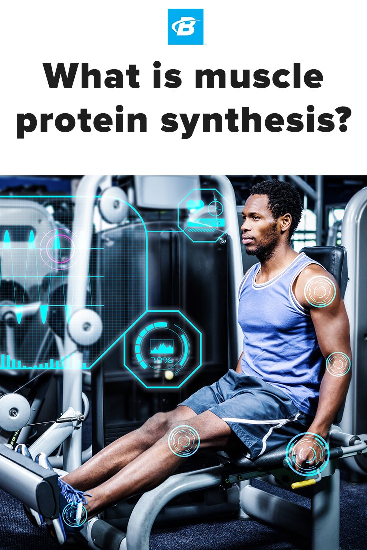 muscle protein synthesis