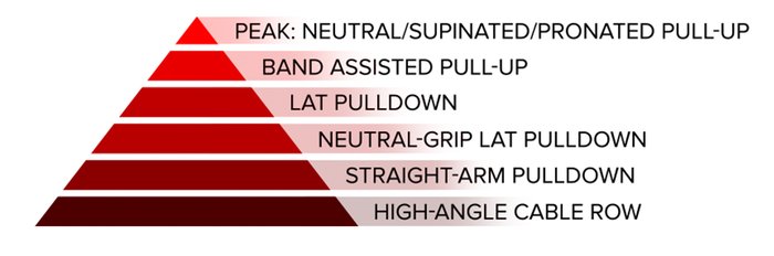 Vertical pull; peak: neutral/supinated/close-grip pull-up, band-assisted pull-up, lat pulldown, neutral-grip lat pulldown, straight-arm pulldown, and high-angle cable row