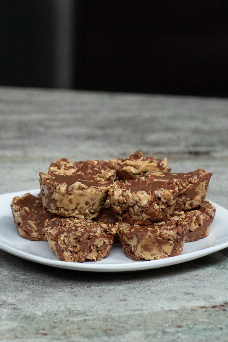 Protein Rice Crispy Treats Bodybuilding