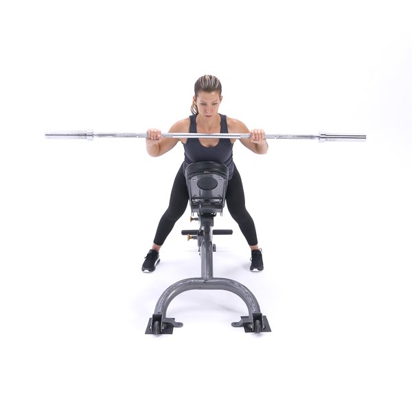 Incline anti-gravity shoulder press thumbnail image