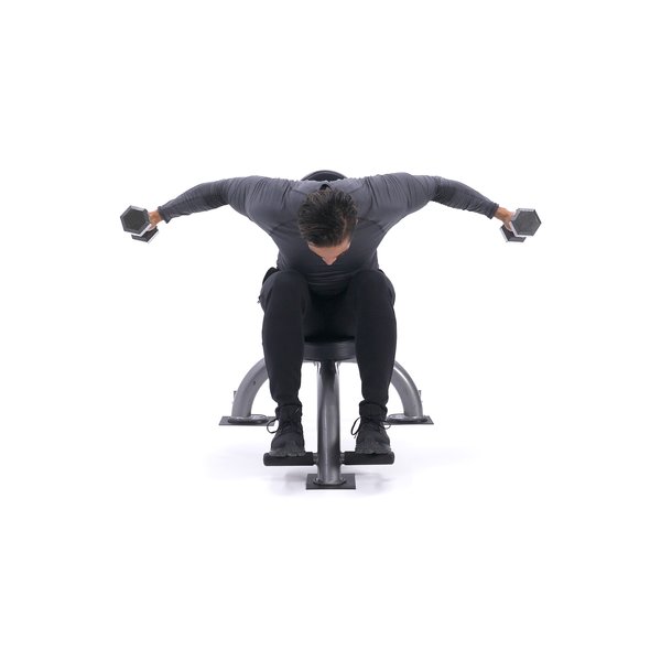 Seated rear delt fly thumbnail image