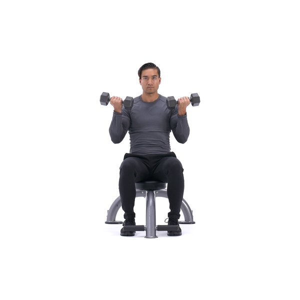 Seated dumbbell biceps curl thumbnail image