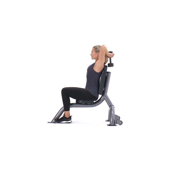 Seated triceps press thumbnail image