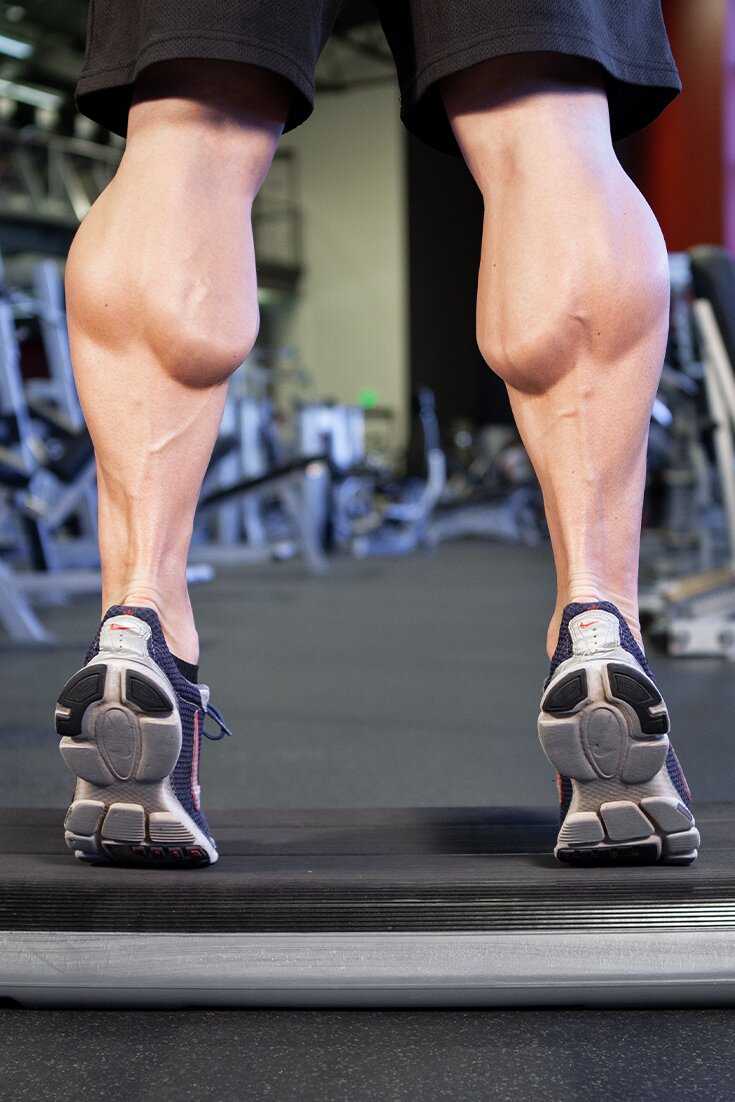 5 Reasons Your Calves Will Not Grow And How To Grow Them