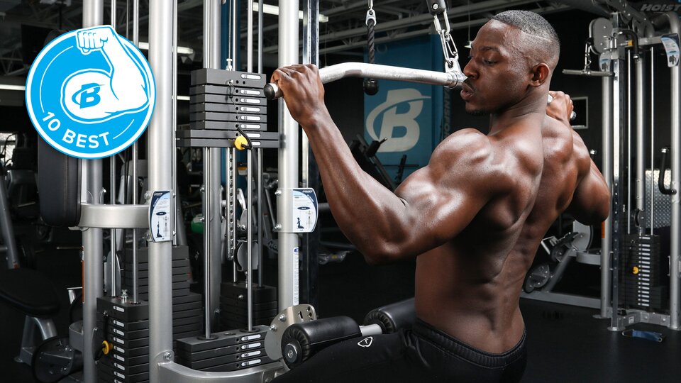 bodybuilding exercises chart for men