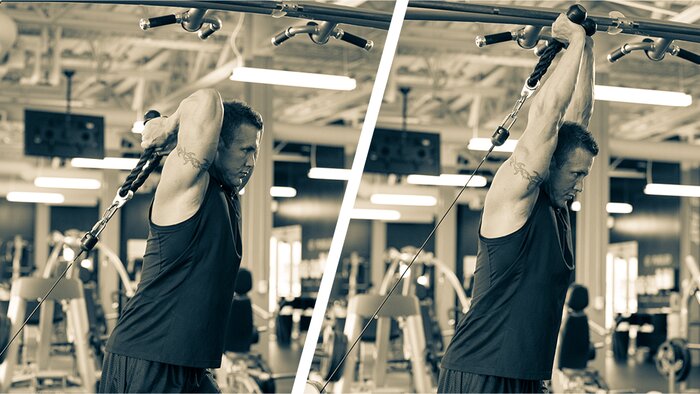 Biceps 💪 + triceps workout - ENERGY salle de sport