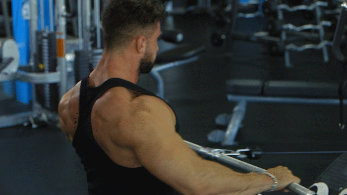 Close Grip Front Lat Pulldown - Back Exercise - Bodybuilding.com 